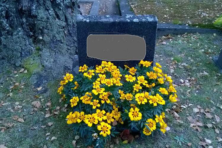 Valinnat Yksittäisen haudan hoidosta vastaa hautaa hallinnoiva suku.