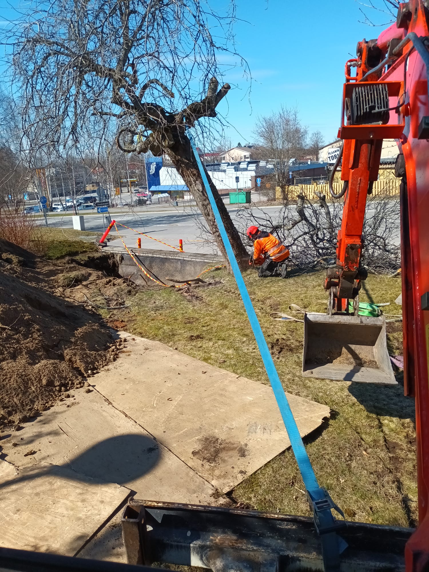 Puuta kaadetaan nurmikkoalueella, kuvassa on myös kaivinkone.